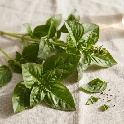 Basil (linalool + eugenol)
